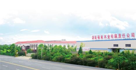51除醛時代，揭秘家裝“秘密”武器 生態(tài)建材